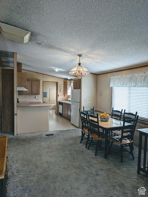 Dining space with a textured ceiling and light colored carpet