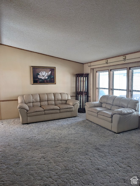 Carpeted living room featuring lofted ceiling and a textured ceiling