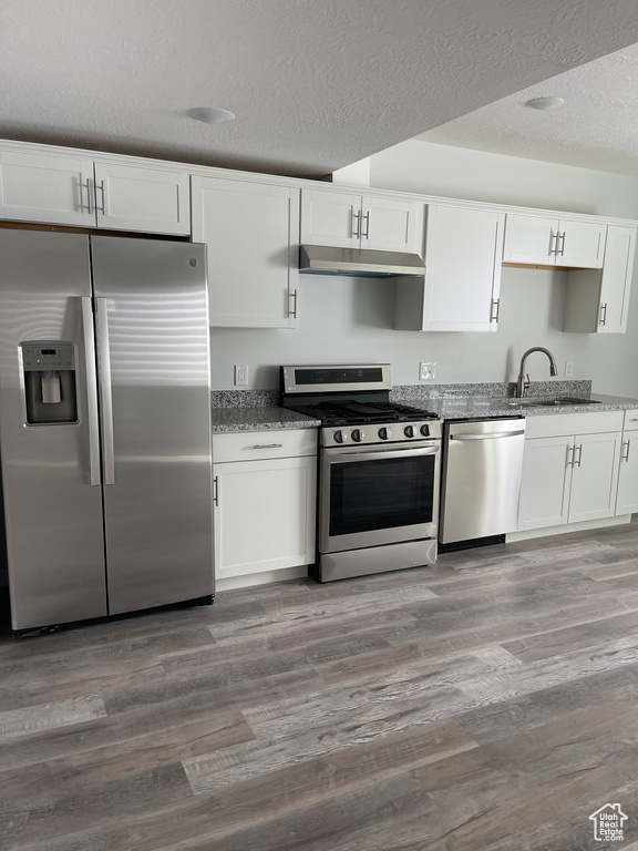 Kitchen featuring stainless steel appliances, under cabinet range hood, stone counters, and a sink