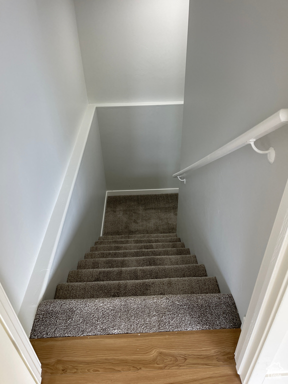 Stairway with carpet