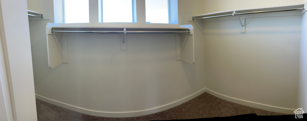 Spacious closet with carpet