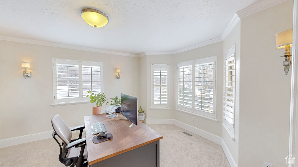 Office featuring visible vents, light colored carpet, baseboards, and ornamental molding