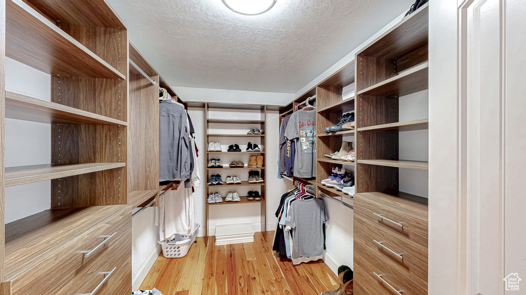 Spacious closet featuring light wood finished floors