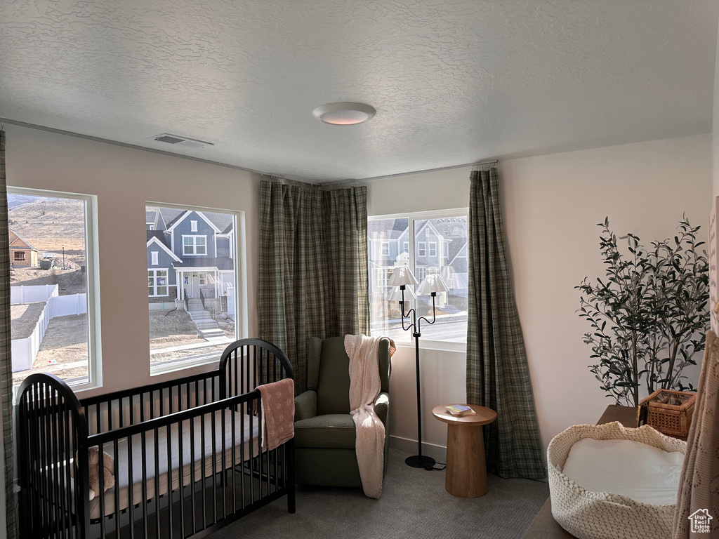 Bedroom with visible vents, carpet, a sunroom, a textured ceiling, and a nursery area