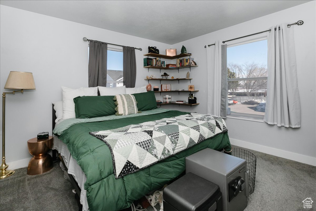 Bedroom with multiple windows, carpet floors, and baseboards