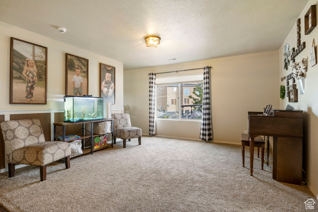 Living area featuring baseboards, carpet floors, and a textured ceiling