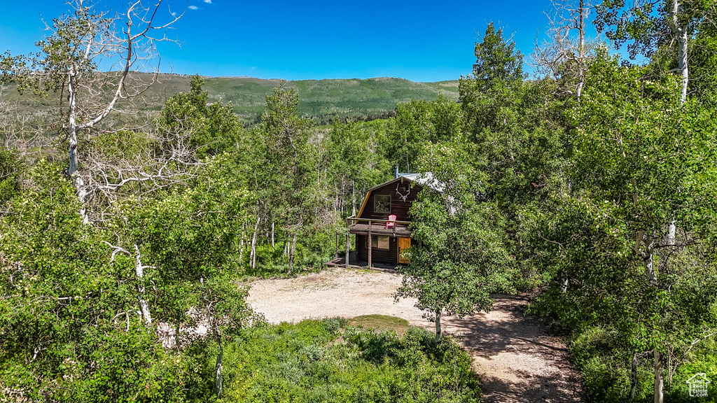 Mountain view with a forest