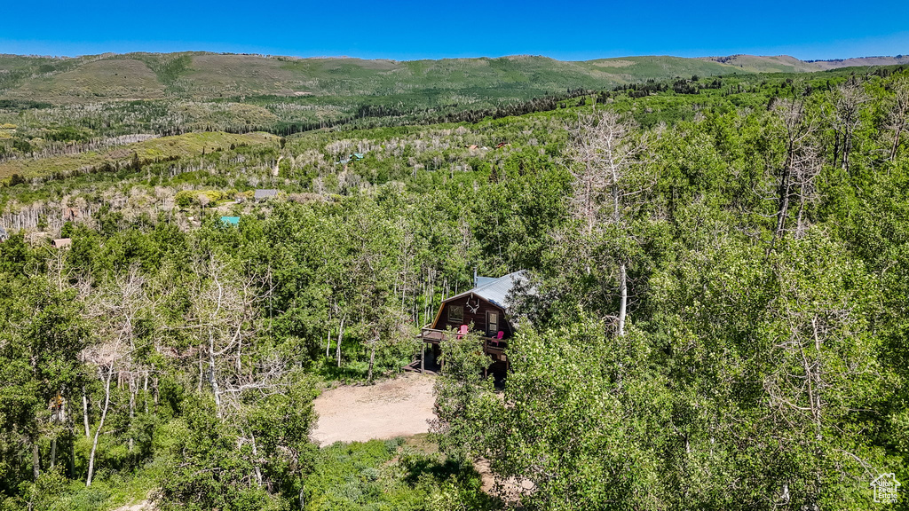 View of mountain background featuring a heavily wooded area