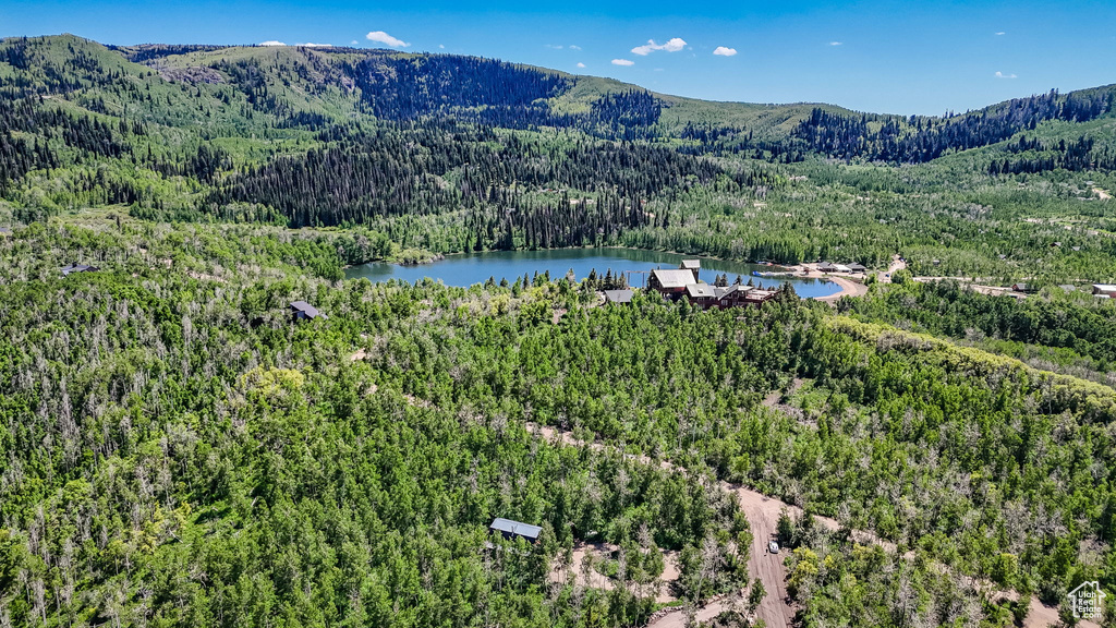 Drone / aerial view of a heavily wooded area and a water and mountain view
