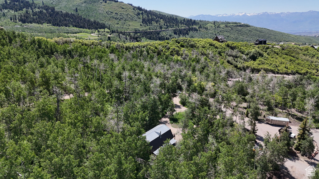 Drone / aerial view of a heavily wooded area and mountains