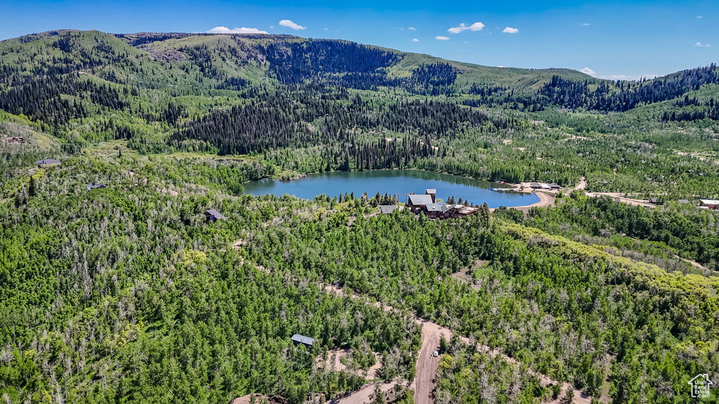 Drone / aerial view of a forest and a water and mountain view