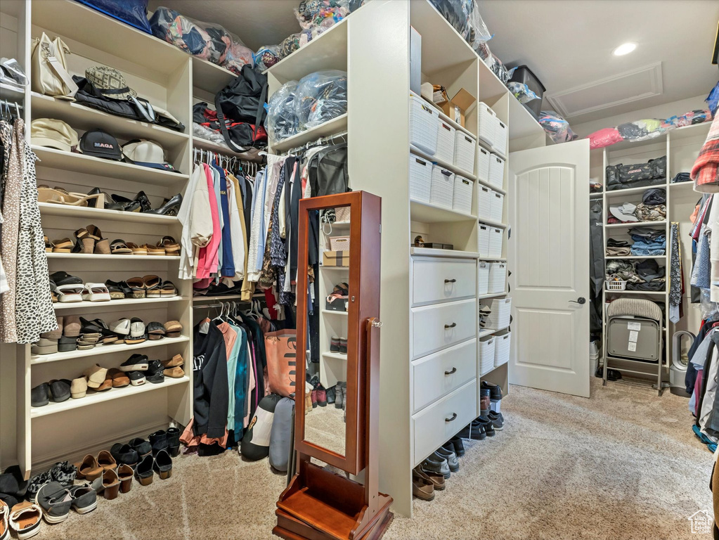 Walk in closet with attic access and carpet flooring