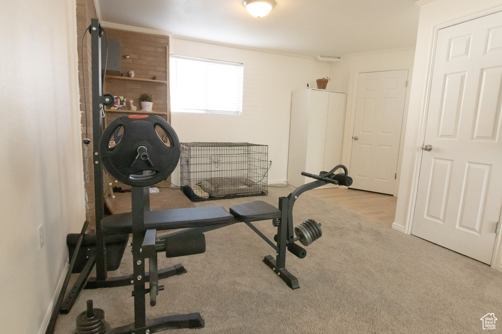 Workout room with crown molding, baseboards, and carpet floors