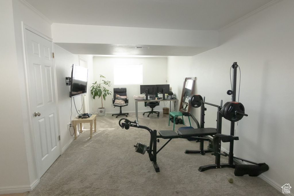 Workout area with crown molding, visible vents, baseboards, and carpet floors