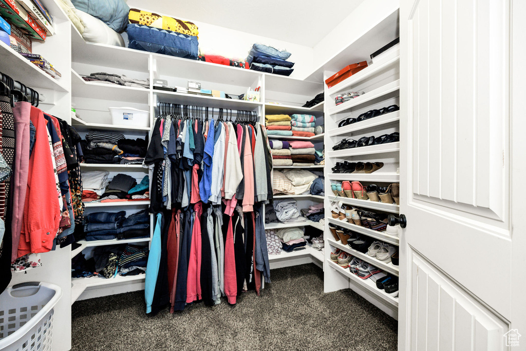 Walk in closet featuring carpet