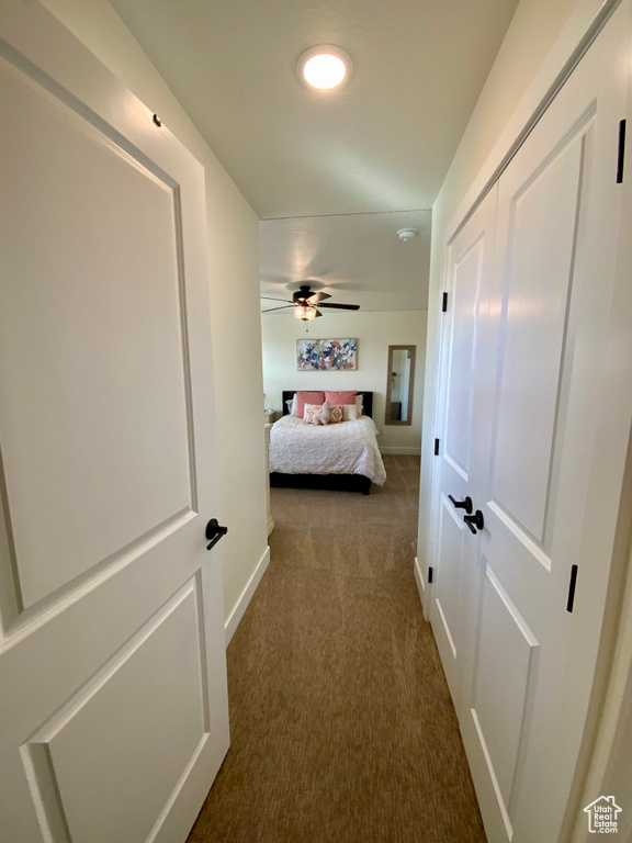 Interior space with dark carpet