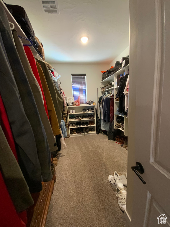 Walk in closet featuring visible vents and carpet floors