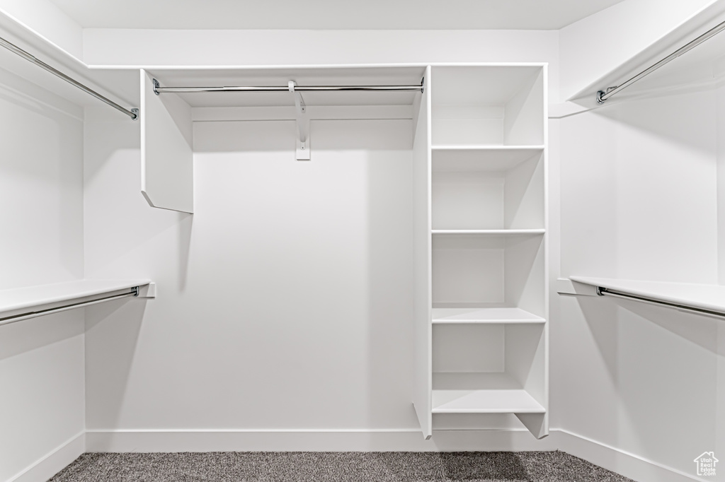 Walk in closet with carpet floors