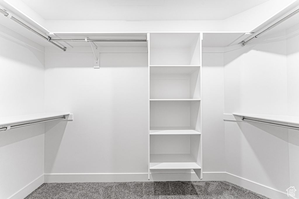 Spacious closet with carpet floors