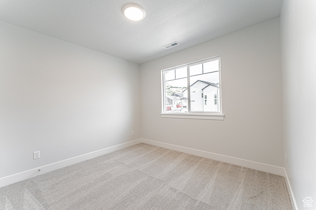 Unfurnished room featuring light colored carpet and a textured ceiling