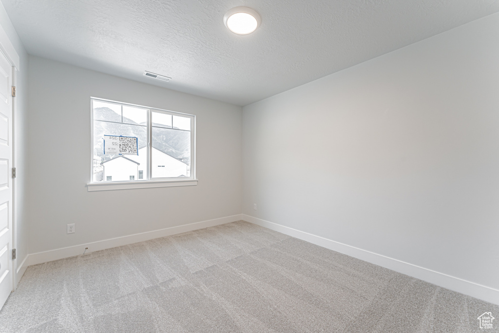 Unfurnished room with a textured ceiling and light colored carpet