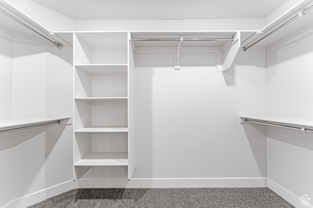 Spacious closet with carpet