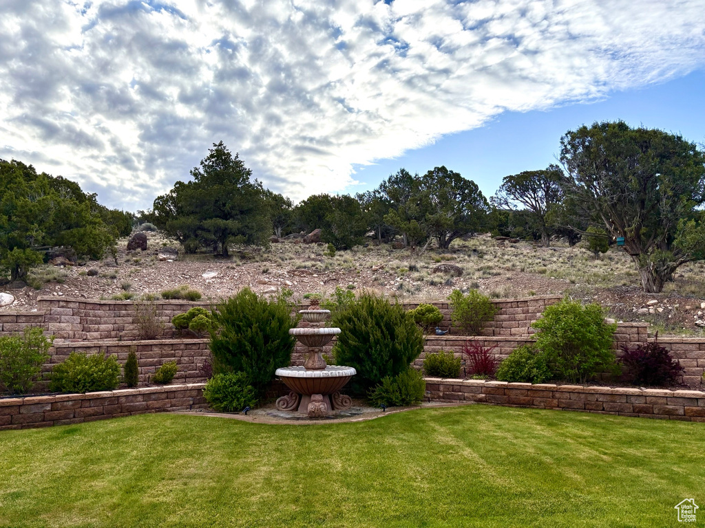 View of green lawn