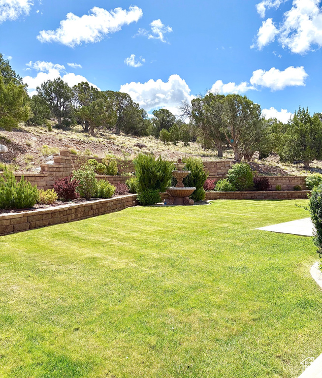 View of grassy yard