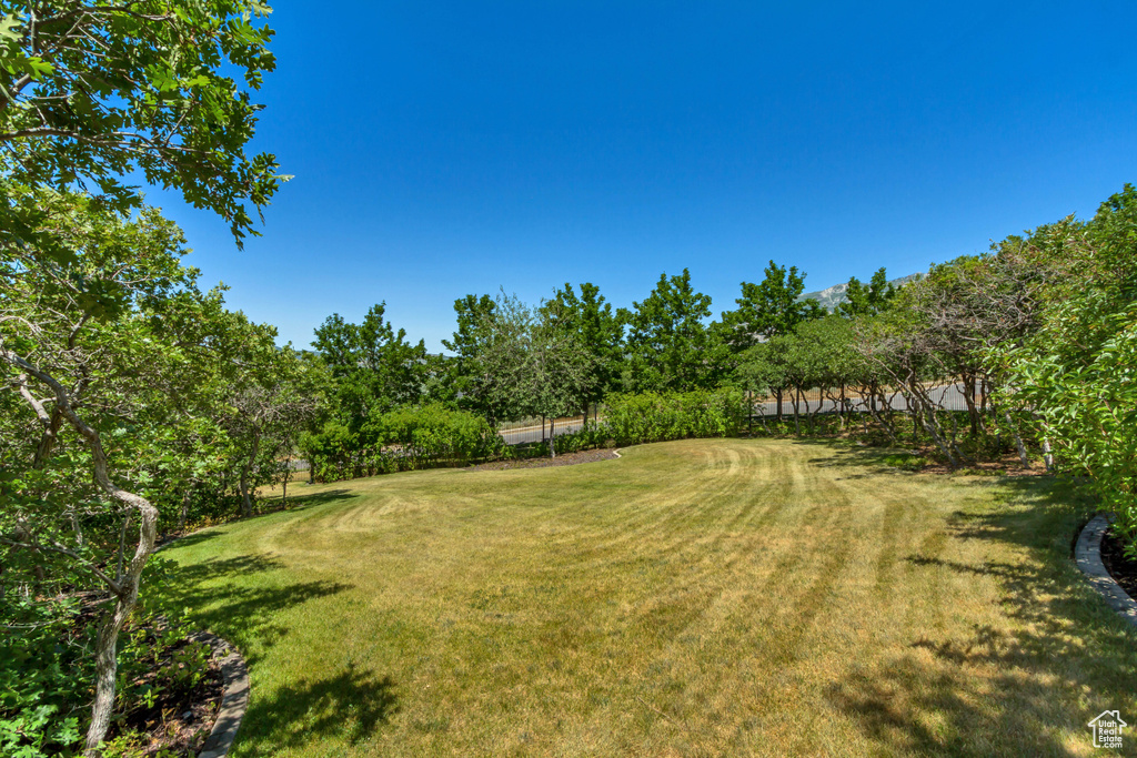 View of grassy yard with golf course view and view of wooded area