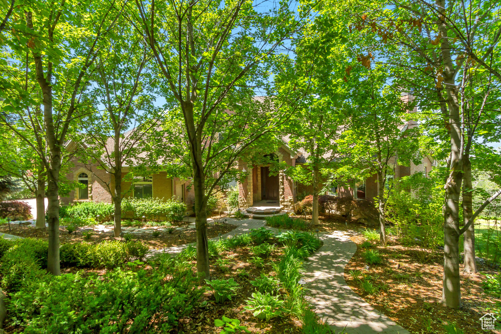 View of property hidden behind natural elements with stone siding