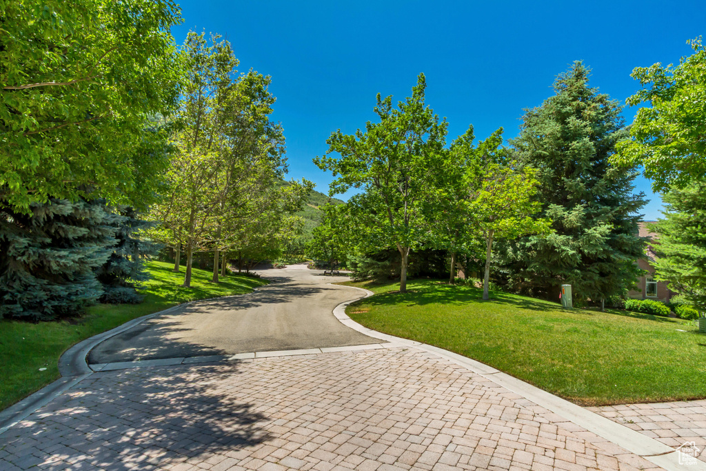 View of property's community with a yard