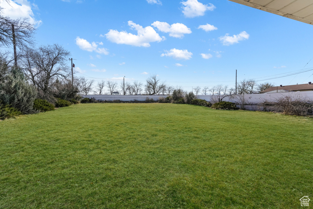 View of yard