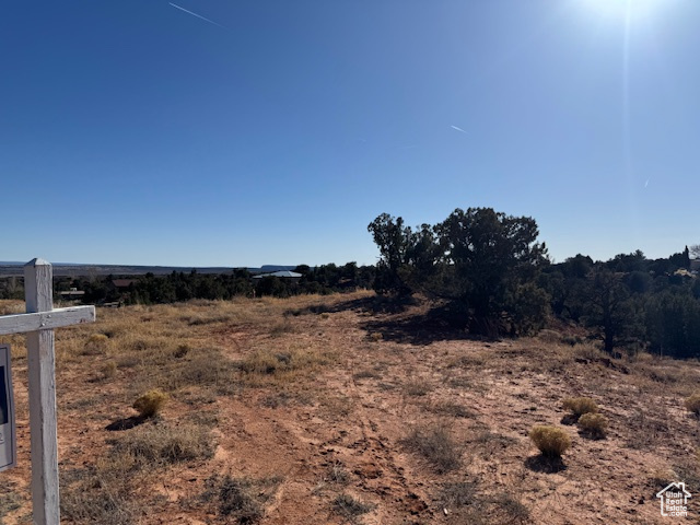 View of nature