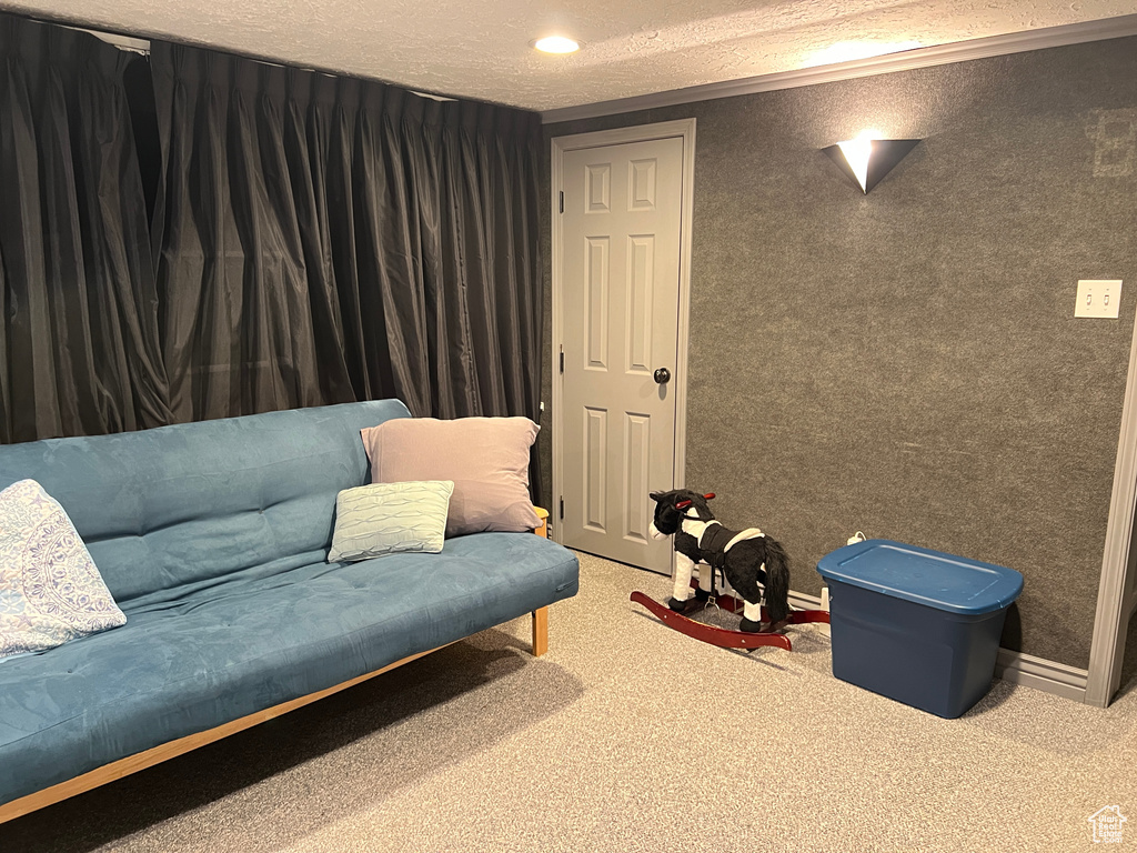 Living area featuring baseboards, a textured ceiling, and carpet