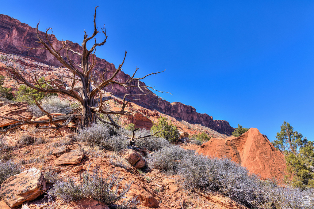 95  BAILEY LN Castle Valley, UT 84532