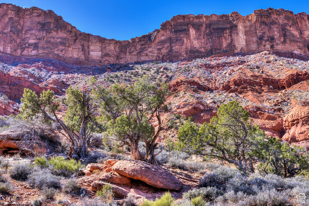 95  BAILEY LN Castle Valley, UT 84532