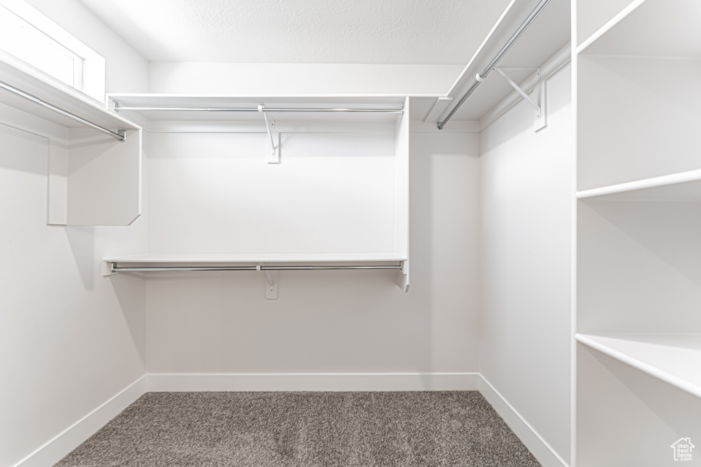 Spacious closet with carpet