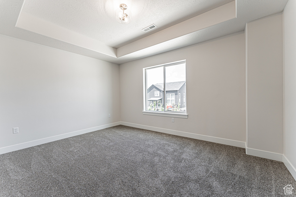 Carpeted spare room featuring a raised ceiling and a textured ceiling