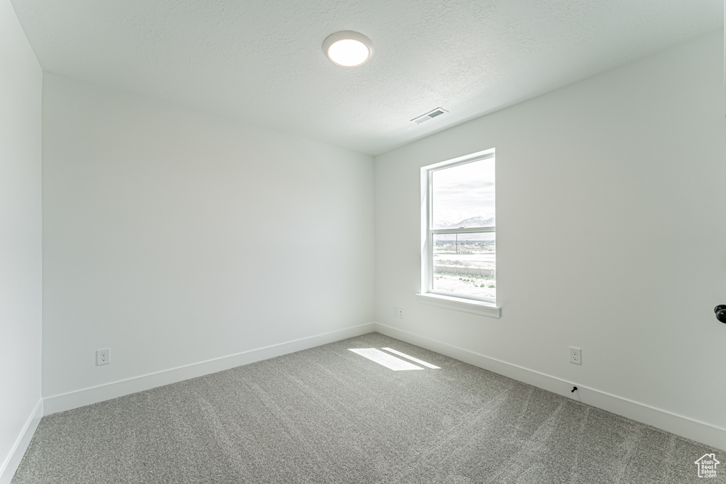 Carpeted spare room with baseboards and a textured ceiling
