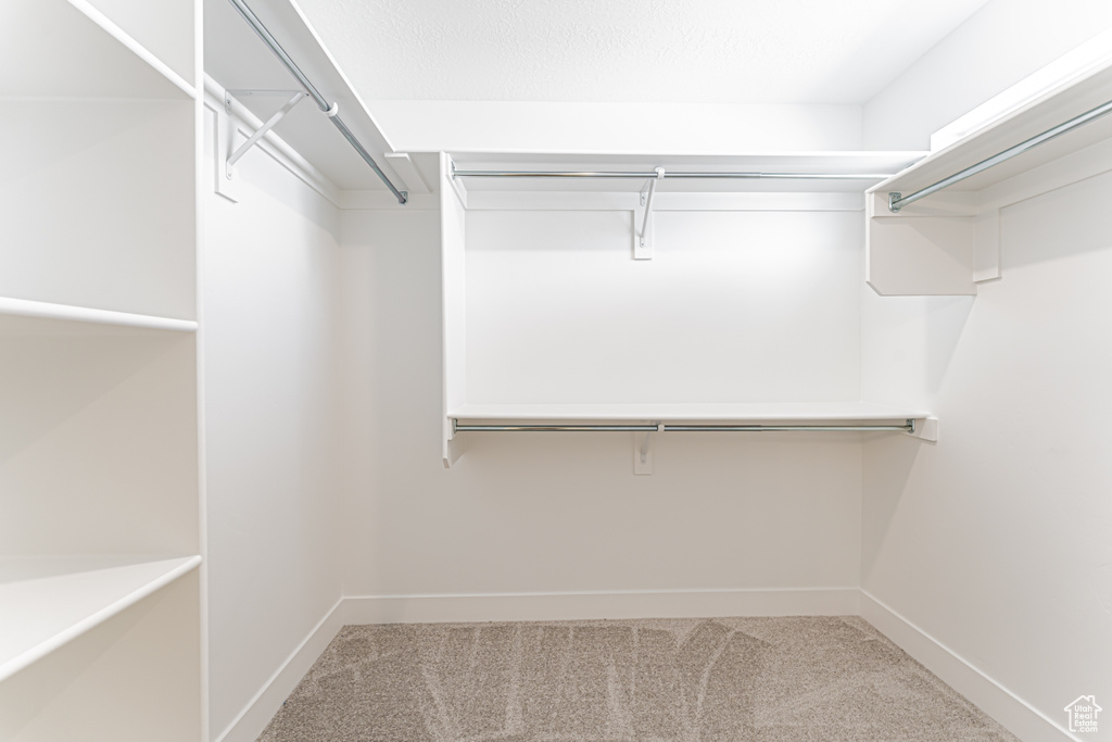 Spacious closet featuring carpet