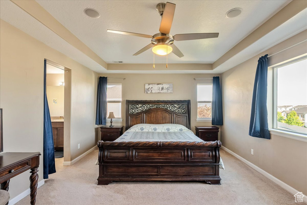 Bedroom featuring light colored carpet, multiple windows, a raised ceiling, and baseboards