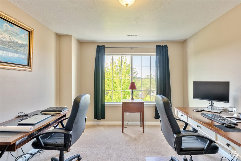 Office area featuring light carpet, baseboards, and a textured ceiling