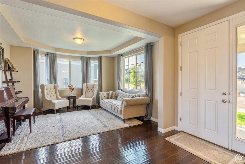 Entryway featuring a tray ceiling, baseboards, and dark wood-style floors