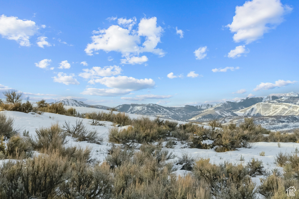 6746 WHITE DOVE WAY Park City, UT 84098