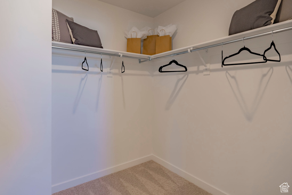 Walk in closet featuring light carpet