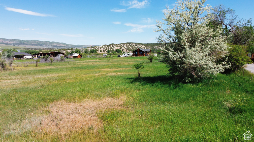 View of yard featuring a mountain view and a view of rural / pastoral area