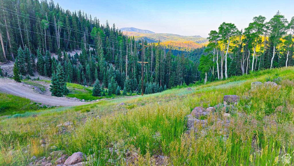 Beaver, UT 84713