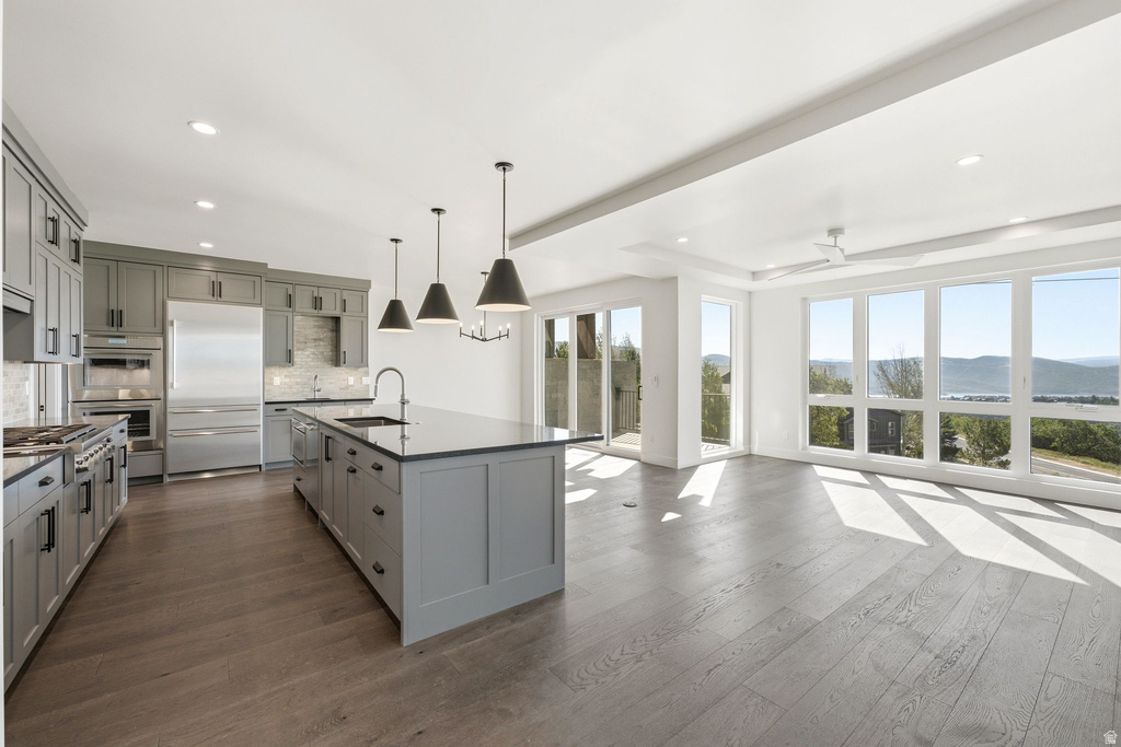 Spacious kitchen and living area featuring wood-finish flooring, a large island with sink, grey cabinetry, stainless steel appliances, and extensive window walls