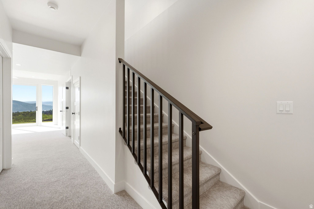Central staircase with dark wood-finish handrail and black metal balusters, complemented by light gray carpeted treads