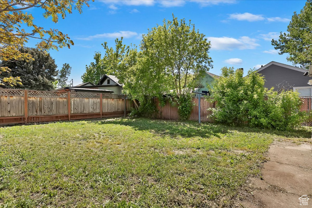 View of yard